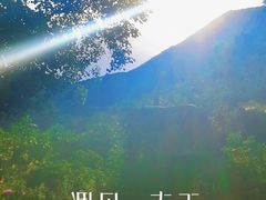 -大姆山草场