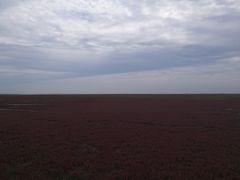 -红海滩国家风景廊道