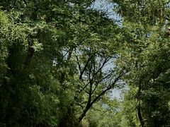 -烟水渔庄餐厅(西溪湿地店)