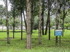 -东郊湿地公园