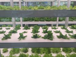 -安利上海体验馆