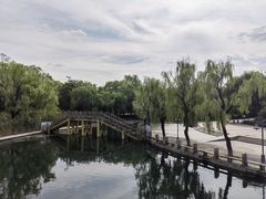 -百脉泉景区