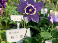 -杭州植物园