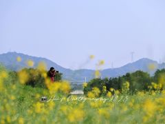 -光明小镇欢乐田园