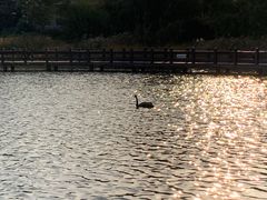 -五缘水乡酒店兰轩中餐厅