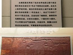 -延庆地质公园博物馆