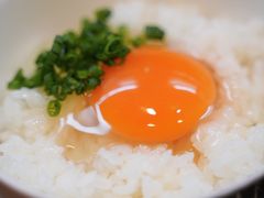 -面屋 猪一