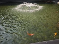 -太子园林酒家