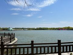 -上海都市菜园