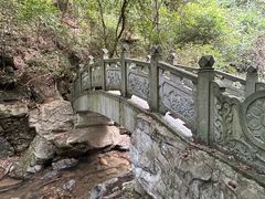 -江西阳明山国家森林公园
