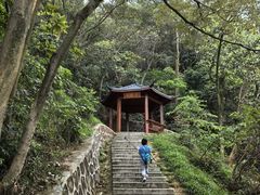 -黄埔油麻山森林公园