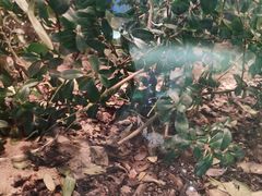 -上海昆虫博物馆