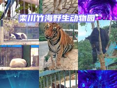 -栾川竹海野生动物园