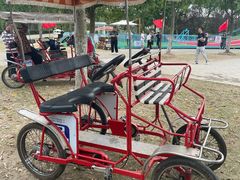 -上海海湾国家森林公园