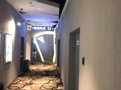 -星河寰宇IMAX影城(星河WORLD·COCO Park店)