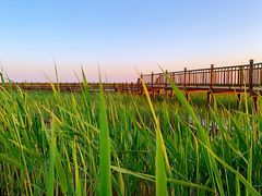 -东方华地城湿地温泉度假区