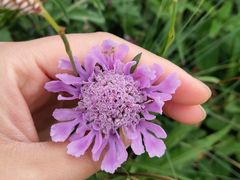 -白草畔自然风景区