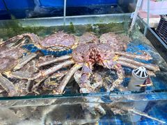 -京深海鲜市场(光彩路店)