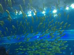 -华夏文旅海洋公园