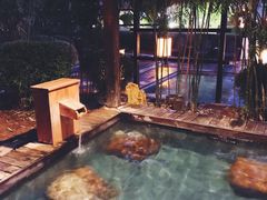 -崇阳三特浪口温泉