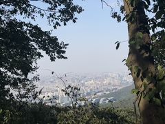 -灵顺寺
