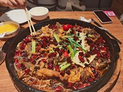 -老板恋上鱼(恒隆广场店)