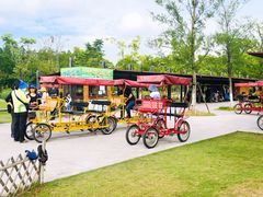 -上海长兴岛郊野公园