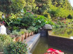 -深圳仙湖植物园