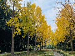 -苏州河梦清园环保主题公园