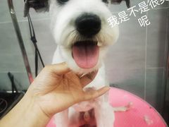 -宠福鑫康馨动物医院·骨科·眼科