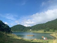 -武陵山森林公园