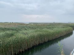 -苏州太湖国际会议中心