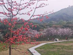 -风云岭森林公园