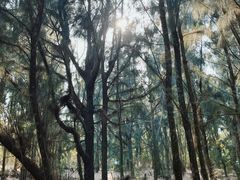 -厦门湾·白塘湾火山公园