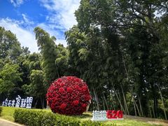 -乌石村
