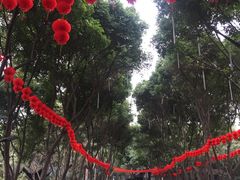 -巴山一绝烤全羊(三圣乡刘家花园店)
