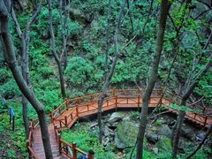 -大岭沟猕猴桃谷风景区