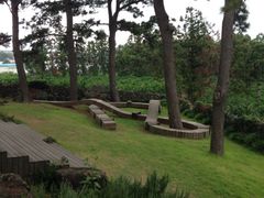 泰迪熊博物馆-济州岛泰迪熊博物馆