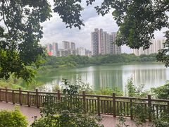 -广东花都湖国家湿地公园