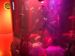 -沈阳海洋探索中心