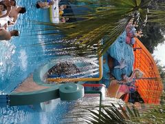 -重庆海昌加勒比海水世界