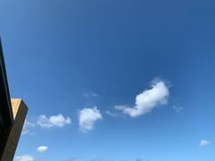 -星巴克(深圳音乐厅店)