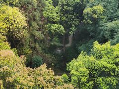 -南山植物园