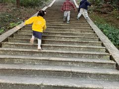 -三水森林公园
