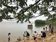 -瑶湖郊野森林公园