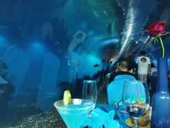 -海棠湾洲际-涛·海底餐厅·美人鱼·自助餐·海底隧道