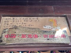 -亚龙湾热带天堂森林公园