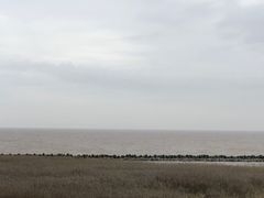 景点-南汇嘴观海公园