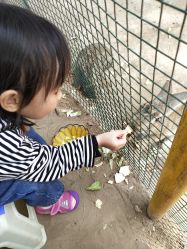 -上美四季动物农场