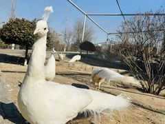-太原动物园